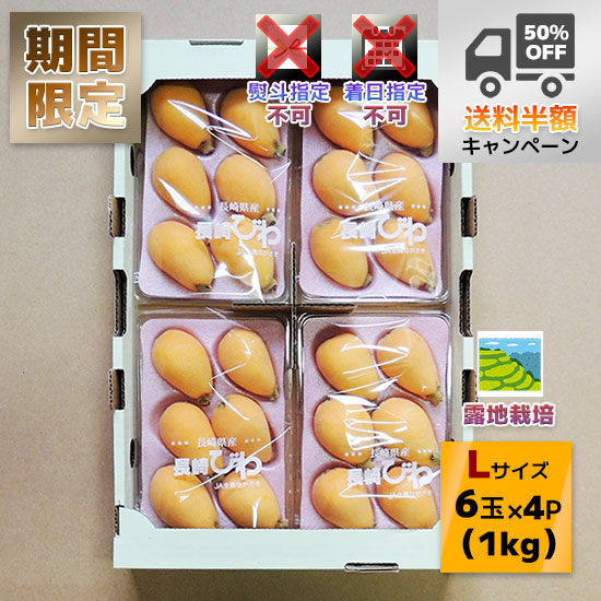 【熨斗不可】露地栽培「長崎びわ」秀Lサイズ　6玉×4パック入（1kg）