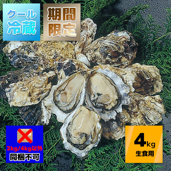 【熨斗不可　3/12指定着まで】小長井牡蠣4kg（生食用）